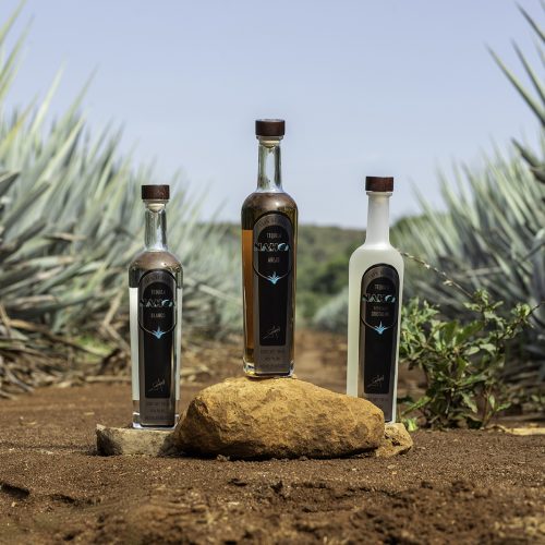 tequilas-nahoa-agaves